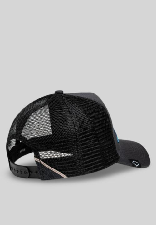 Replay Palm Cap Trucker Cap - Switch On Africa